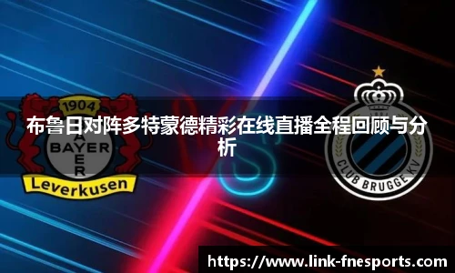 蜂鸟电竞官网